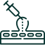 Cysts icon