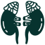 Neuroblastoma Adrenal Cancer icon