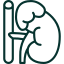 Myelolipoma Adrenal Cancer