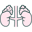 Adrenocortical Carcinoma (ACC)