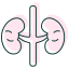 Pheochromocytoma icon