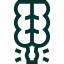 Chronic appendicitis icon