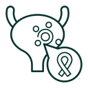 Adenocarcinoma bladder cancer icon