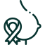 Ductal Carcinoma In Situ (DCIS) icon