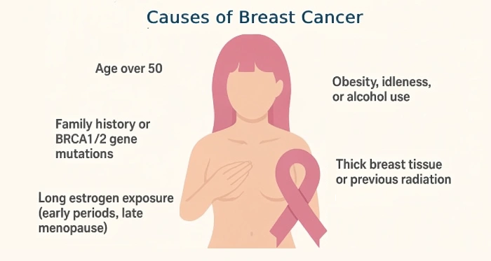 Breast Cancer Causes