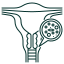 Serous Carcinoma Endometrial Cancer icon