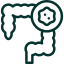 Gastrointestinal stromal tumors (GISTs) colon cancer icon