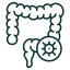 Sarcomas colon cancer icon