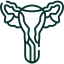 Endometrioid Adenocarcinoma Endometrial Cancer