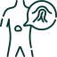 Inguinal Hernia icon