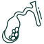 Cholesterol gallstone disease icon