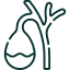 bile ducts icon