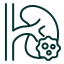 Chromophobe Renal Cell Carcinoma icon