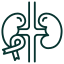 Collecting Duct Carcinoma icon