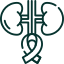 Renal Cell Carcinoma (RCC) icon