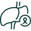 Hepatoblastoma liver canacer icon
