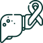 Angiosarcoma liver cancer icon