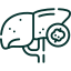 Secondary (Metastatic) Liver Cancer liver cancer icon