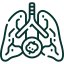 Adenocarcinoma icon
