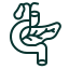 Intraductal Papillary Mucinous Neoplasm (IPMN) Pancreatic Cancer icon