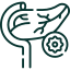 Adenocarcinoma Pancreatic Cancer icon