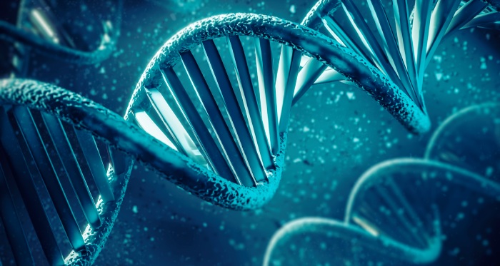 Pancreatic Cancer Causes Pancreatic Cancer Causes