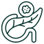 Cystadenocarcinoma Pancreatic Cancer icon