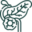 Acinar Cell Carcinoma Pancreatic Cancer icon