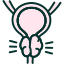 Ductal Adenocarcinoma icon 