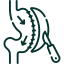 Sleeve Gastrectomy icon