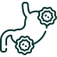 Adenocarcinoma stomach cancer icon