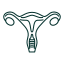 Mixed Endometrial Carcinoma Endometrial Cancer icon