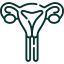 Mucinous Carcinoma Endometrial Cancer icon