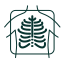 Chest X-ray & CT scan icon