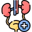 Urology