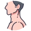 Head and neck